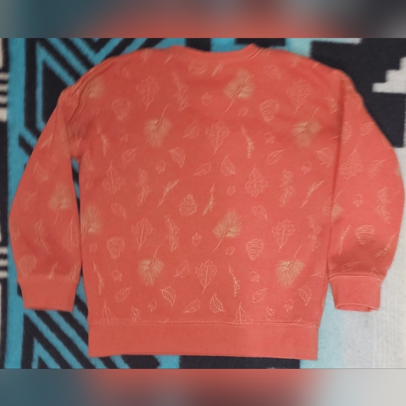 Toddler Okie Dokie Fleece Sweatshirt Applique - Picture 5 of 5